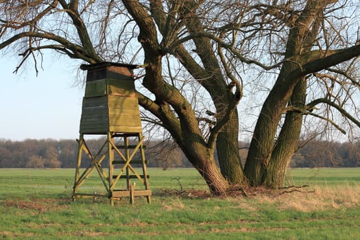 Hunting pulpit in a floodplain