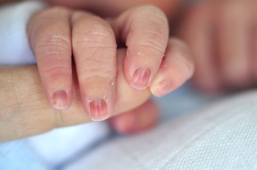 Baby holding parent's finger, with focus on babies fingers, low depth of field