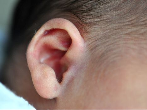 Closeup of a newborn's ear. Very shallow depth of field.