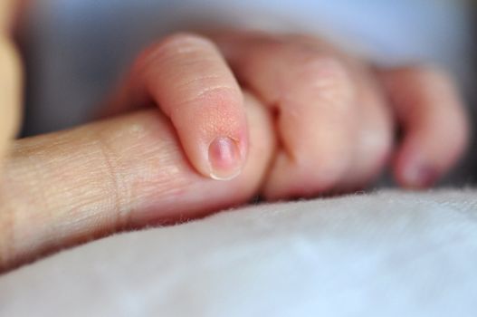 Baby holding parent's finger, with focus on babies fingers, low depth of field