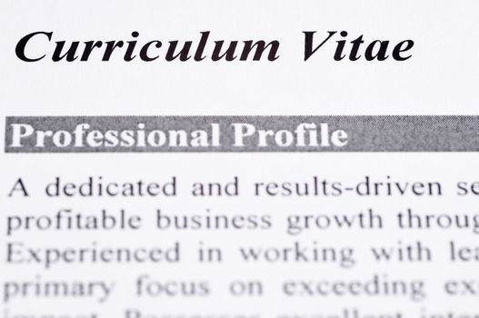 Close up of a Curriculum Vitae with professional profile