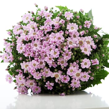 Pretty round posy bouquet of pink daisies with green foliage on a reflective surface against white