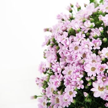 A bouquet of pink flowers on white background with copy space