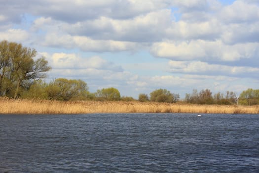 Lake in a floodplain in early spring