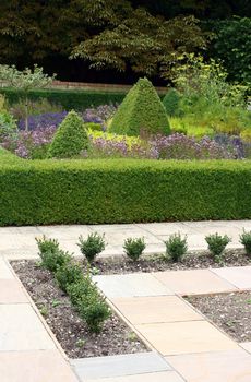 A portrait format image of a section of formal garden with shaped greenery and bushes / topiary, with a formal layout of pavings stones to the foreground of image.