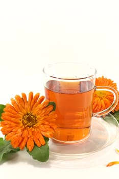 a glass of marigold tea and calendula flowers on a bright background