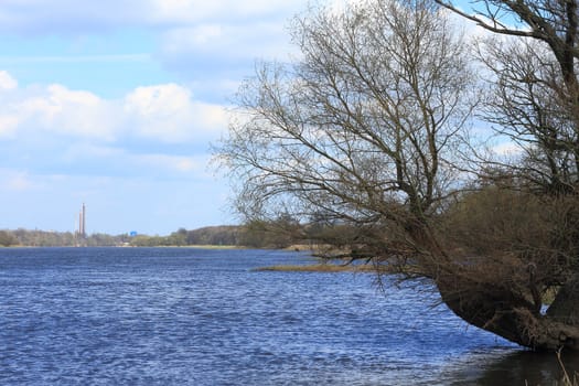 Elbe river in early spring
