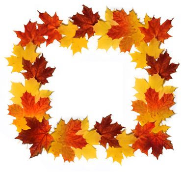 Red and yellow autumn leaves forming border isolated on white background