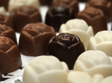 Assortment of dark premium and white chocolate confection