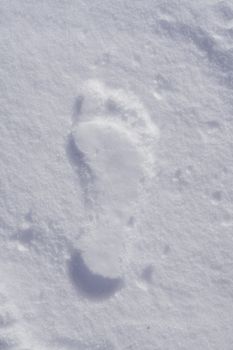 Human bare foot footprint in newly fallen snow