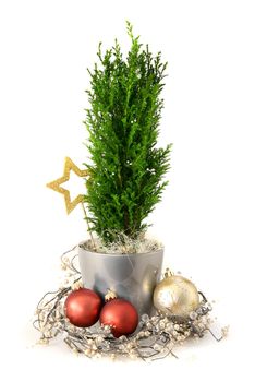 Christmas style decoration arrangement with cypress and glass balls