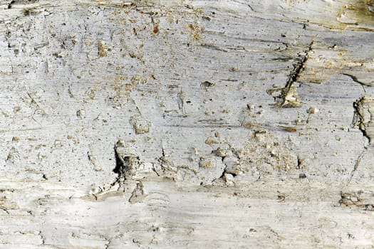 texture of old wood in the background