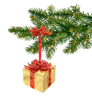 Gold and red present box hanging on green Christmas tree branch