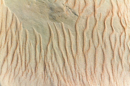 image of sand dunes in the background