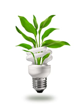 Energy saving eco lamp with green values concept