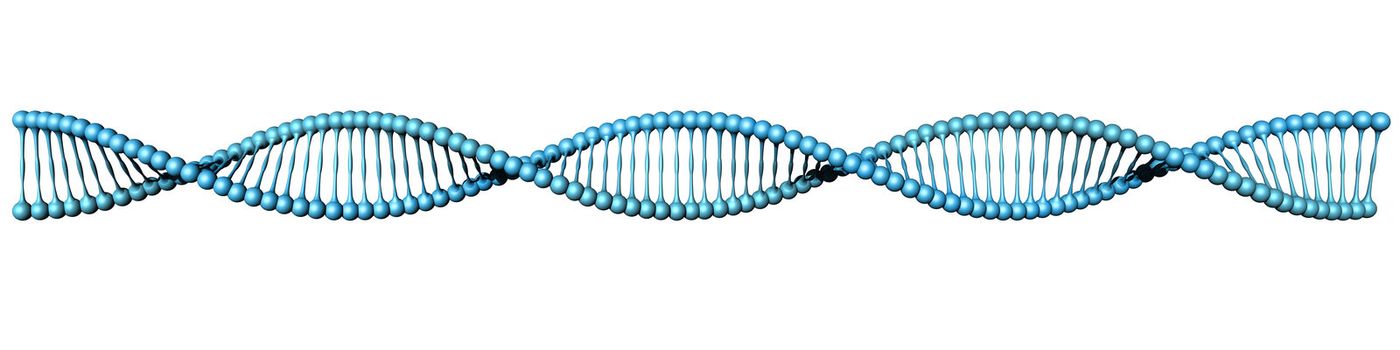 Spiral DNA code helix isolated on white background