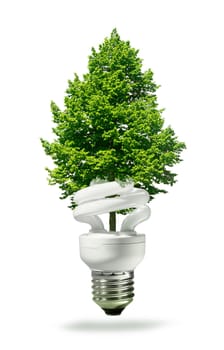 Eco lamp with new green tree growing through