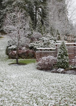 First winter snow has fallen into autumnal garden