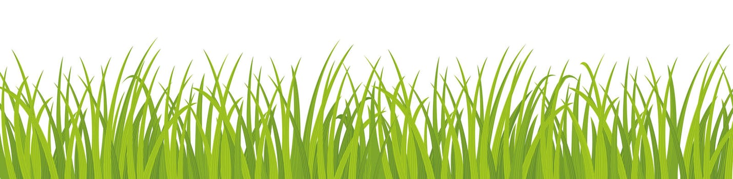 Green grass growing on white background, graphic style