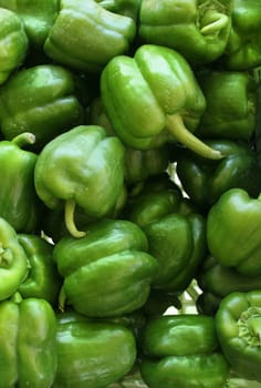 Lots of fresh green peppers