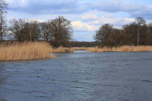 Lake in a floodplain in early spring