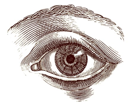 Old engraving illustration of open human eye