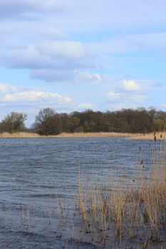 Lake in a floodplain in early spring