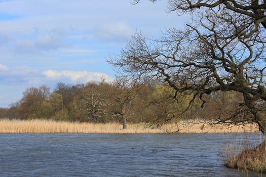 Lake in a floodplain in early spring