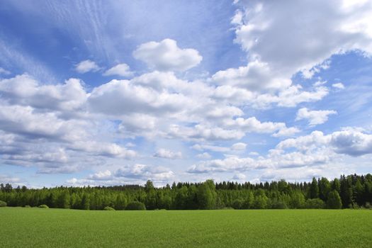 Countryside summer view with green fields blue sky white clouds