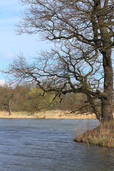 Lake in a floodplain in early spring