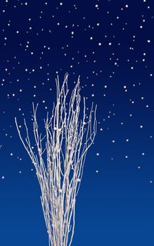 Snow white decoration twigs against dark blue background, with snowflakes falling