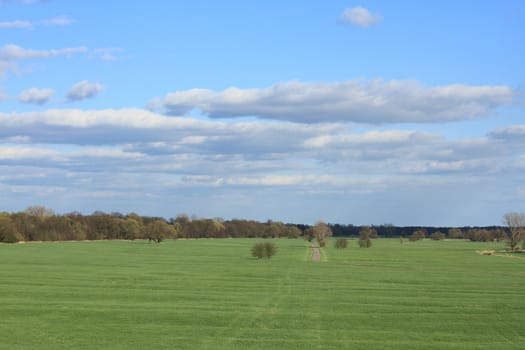 View on the floodplain of the Elbe river in Saxony-Anhalt / Germany, in early spring