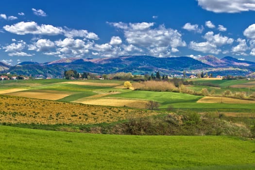 Beautiful green landscape under blue sky, Prigorje, Croatia