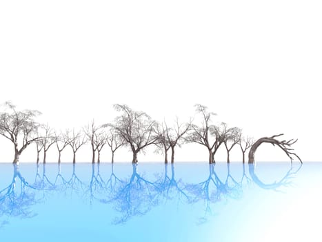 trees reflected on blue ice, on a background of foggy outlines