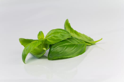 Freshly picked Basil leaves