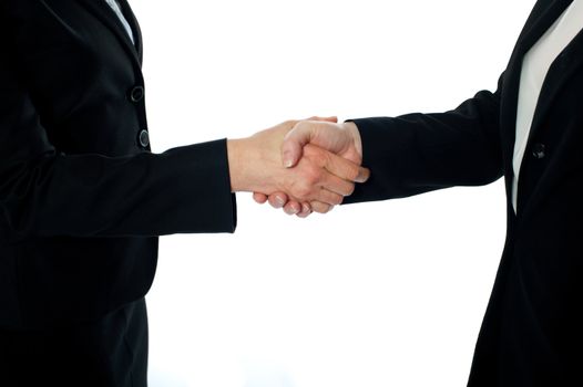 Business deal, handshake. Closeup shot