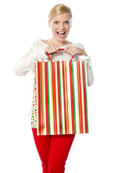 Beautiful happy shopping woman carrying shopping bag