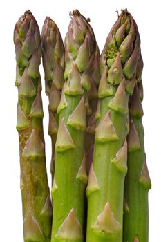 Bunch of green aspargus, in a vertical position, isolated.