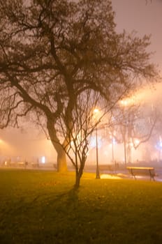 Fog in the city in a winter evening