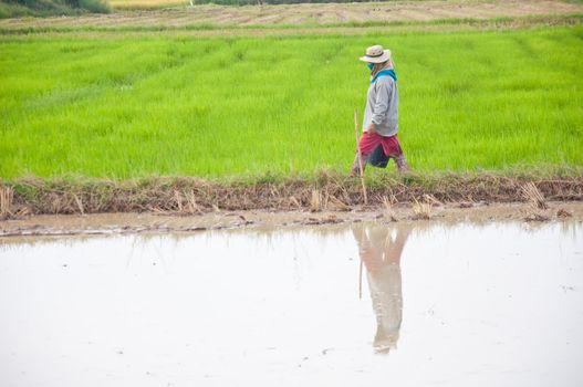 farmer in Thailand country