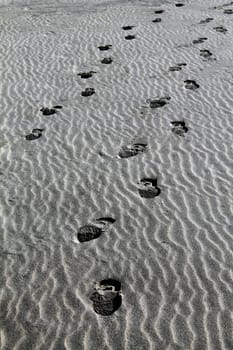 Two trail of steps in the beach