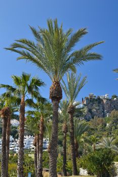 stony park on the coast of La Herradura