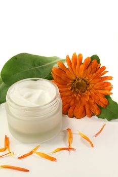 a pot marigold salve with fresh blossoms