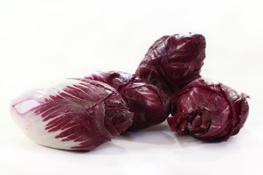 four red chicory on a white background