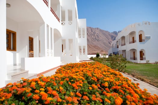 hotel with flowers by the mountais