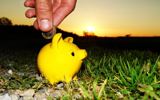 Close-up of a piggy bank