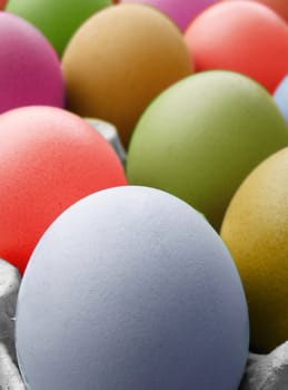 multi color eggs