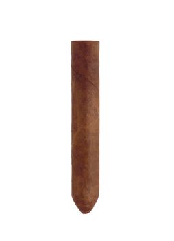 cigar from kuba isolated