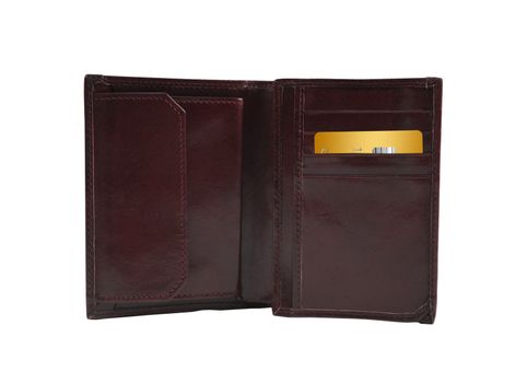 Open wallet with golden card