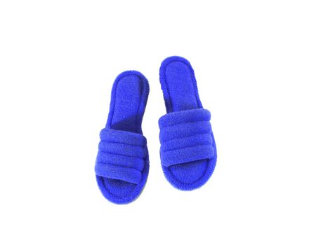 Pair of house slippers. Isolated on white background